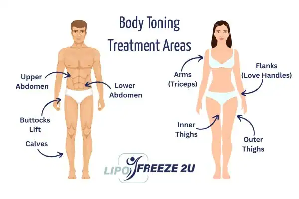 Graphic showing where you can have Body toning Treatment Melksham on your body